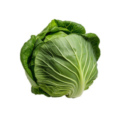 Fototapeta premium A fresh, whole green cabbage isolated on a transparent background