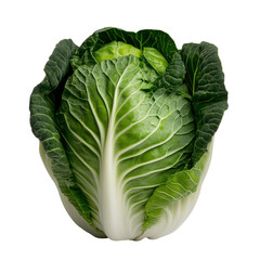 Fototapeta premium A fresh, whole green cabbage isolated on a transparent background