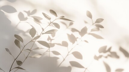 delicate botanical shadows, white cotton fabric texture, minimalist nature impression, soft focus photography, monochromatic palette, subtle plant silhouettes, ethereal mood, fine art composition