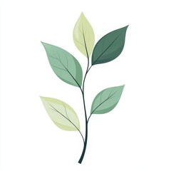 Fototapeta premium eco conscious leaf design, gentle curved stems, fresh spring green tones, botanical minimalism, smooth organic shapes, environmental art, harmonious plant illustration, modern vector style, clean