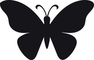 butterfly isolated on white background