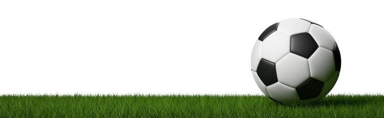 Fototapeta premium Soccer ball on green lawn or grass isolated on white background wide banner with copy space