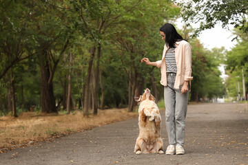 Pretty young woman with treat training her cute Australian Shepherd dog in park