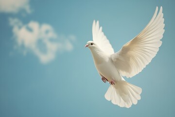 White dove in flight against a clear blue sky during daylight