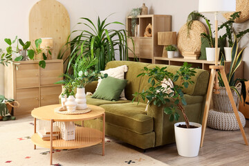 Interior of living room with green sofa, table and plants