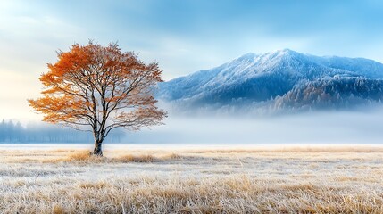 The chilly winter day brought a delicate layer of frost that blanketed the scenery in a glistening coat, transforming the landscape into a mesmerizing winter wonderland.
