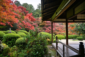 もみじ色付く京都市詩仙堂丈山寺の唐様庭園