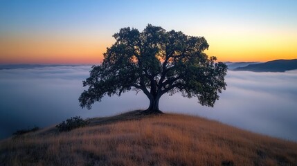 Obraz premium Floating candles illuminating a peaceful water surface at dusk