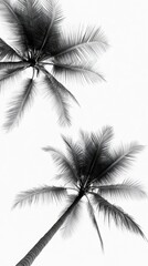 Black and White Silhouette of Tall Palm Trees Against a Bright Skylight, Perfect for Evoking a Tropical, Relaxing, and Calm Atmosphere in any Creative Project