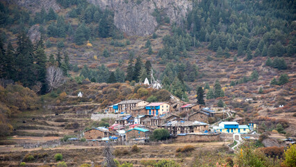 beautiful himalayan town in valley and surrounded by pine trees in Uttarakhand, India