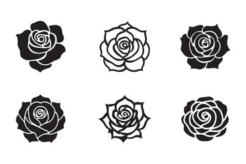 Rose mandala vector illustration design