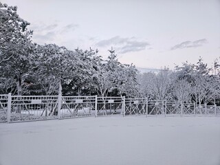 a beautiful scenery caused by heavy snow