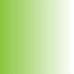 parrot green and white background