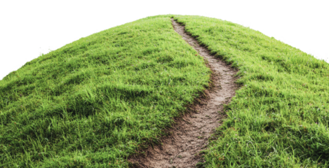 Winding path through lush green hilltop landscape, cut out - stock png.