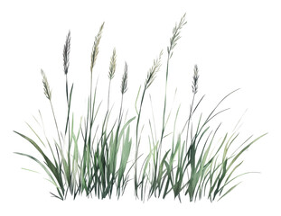 Colorful watercolor grass artwork, cut out - stock png.