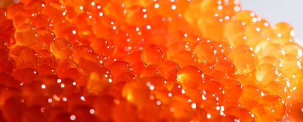 Red caviar background texture close up. Salmon caviar backdrop. Delicious gourmet food. Delicatessen. Texture of caviar. Seafood, macro shot, border design