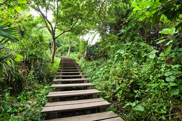 View of the boardwalk paths through the forest of mountains, This is Tzaishan(Shoushan) National Nature Park in Kaohsiung, Taiwan.