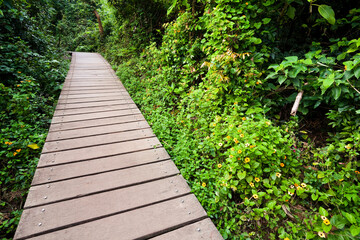 View of the boardwalk paths through the forest of mountains, This is Tzaishan(Shoushan) National Nature Park in Kaohsiung, Taiwan.