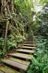 View of the boardwalk paths through the forest of mountains. This is Tzaishan(Shoushan) National Nature Park in Kaohsiung, Taiwan.