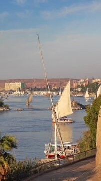 Beautiful landscape with felucca boats on Nile river in Aswan at sunset, Egypt. Vertical video