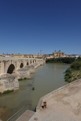 Fototapeta premium Cabildo Catedral de Córdoba