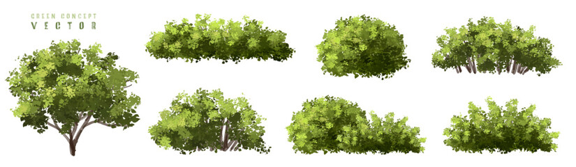  Vector watercolor green  tree or forest side view isolated on white background for landscape and architecture drawing,elements for environment or and garden,Shrub for section