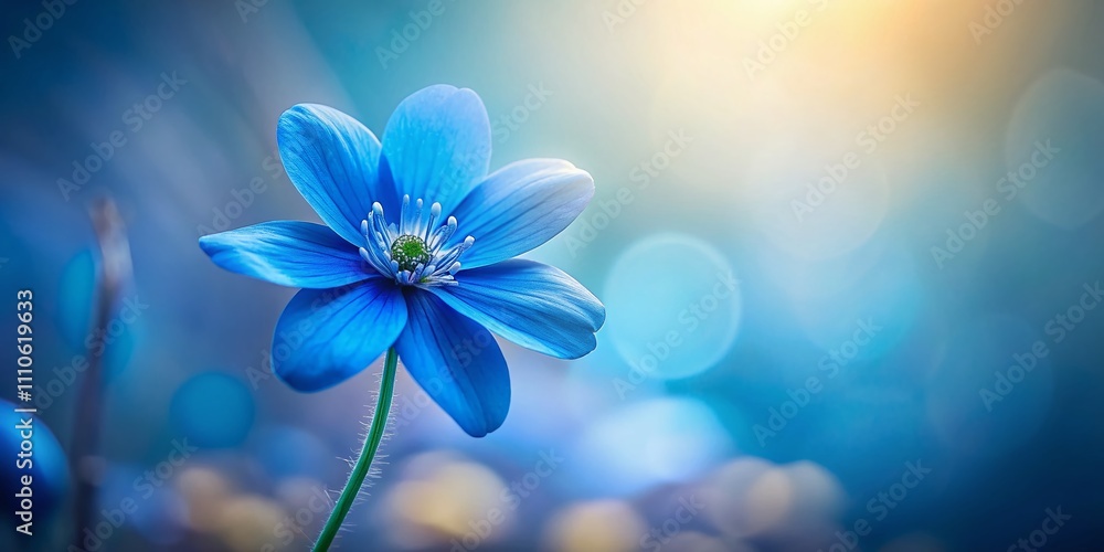 Poster a tranquil silhouette of a single blue bloom against a soft background with ample space for text, pe
