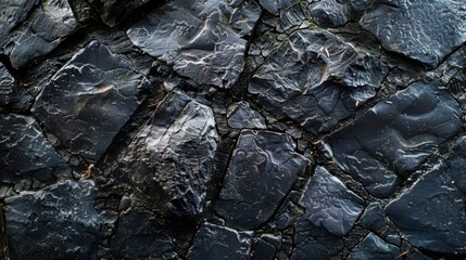 Pitch black background with clear contours, sleek and dramatic, high-contrast backdrop