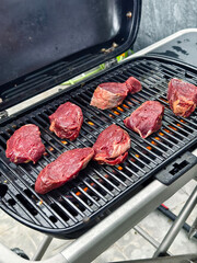 Sizzling grilled meat that showcases a perfect char