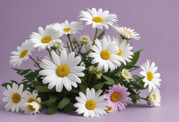 Obraz premium Elegant arrangement of white daisies with green leaves on a light purple background, background, delicate