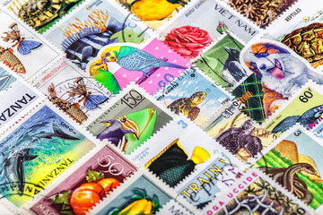 Philately.Collection of stamps and magnifying glass.Collection of vintage animal stamps.A page of storage book album for storing old postage stamps.