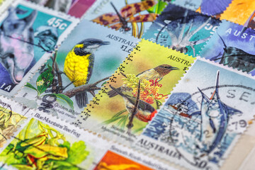 Philately.Collection of stamps and magnifying glass.Used stamps with a bird theme.A page of storage book album for storing old postage stamps.