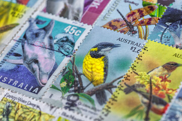 Philately.Collection of stamps and magnifying glass.Collection of vintage animal stamps.A page of storage book album for storing old postage stamps.