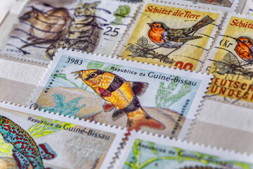 Philately.Collection of stamps and magnifying glass.Collection of vintage animal stamps.A page of...