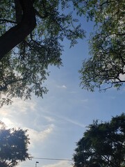 ES UN CIELO AZUL SE VE LAS  NUVES 