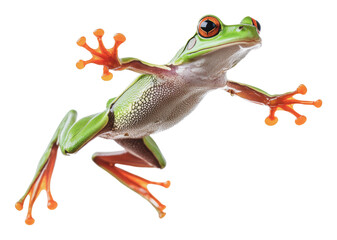 Fototapeta premium Colorful frog leaps in bright light, cut out - stock png.
