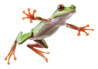 Colorful frog leaps in bright light, cut out - stock png.