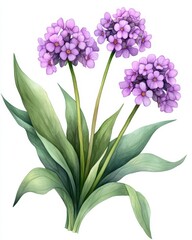 Obraz premium Delicate Purple Flowers Blooming Amidst Vibrant Green Leaves in a Hand Drawn Botanical Illustration