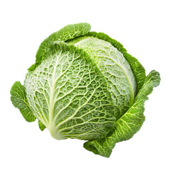 Isolated fresh organic savoy cabbage on transparent background - ideal for healthy eating and culinary creations