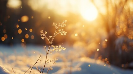 Snowflakes drifting in the air with a soft blur in the background, capturing the gentle motion and texture of the snow