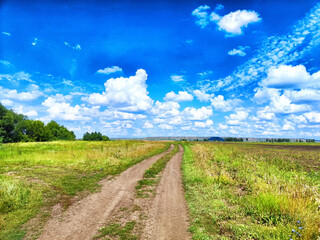 Scenic dirt road through lush green fields under a vibrant blue sky with fluffy white clouds in summer