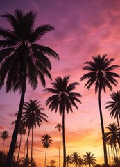 Obraz premium Palm trees silhouetted against a colorful sunset sky, colorful, sky, tranquil
