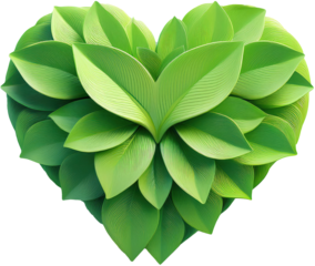 Environment nature conservation 3D leaves grow of green Heart shape isolated
