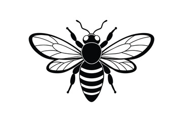 Realistic Vector Bee Illustration: Detailed Insect Art