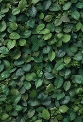 A seamless pattern of various shades of green leaves, organic, repeat, flora