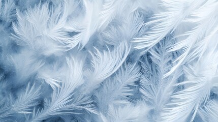 Obraz premium Hoarfrost on blades of grass, feathery crystalline patterns background 