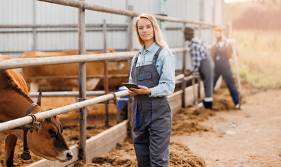 Farmer young woman working with digital tablet for online check health of cow. Concept technologies of livestock industry.