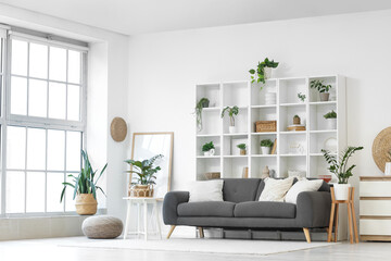 Interior of light living room with black sofa, shelf unit and green plants