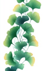 Ginkgo biloba plant leaf closeup view.