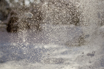 a tree with snow on it and a blue sky in the background